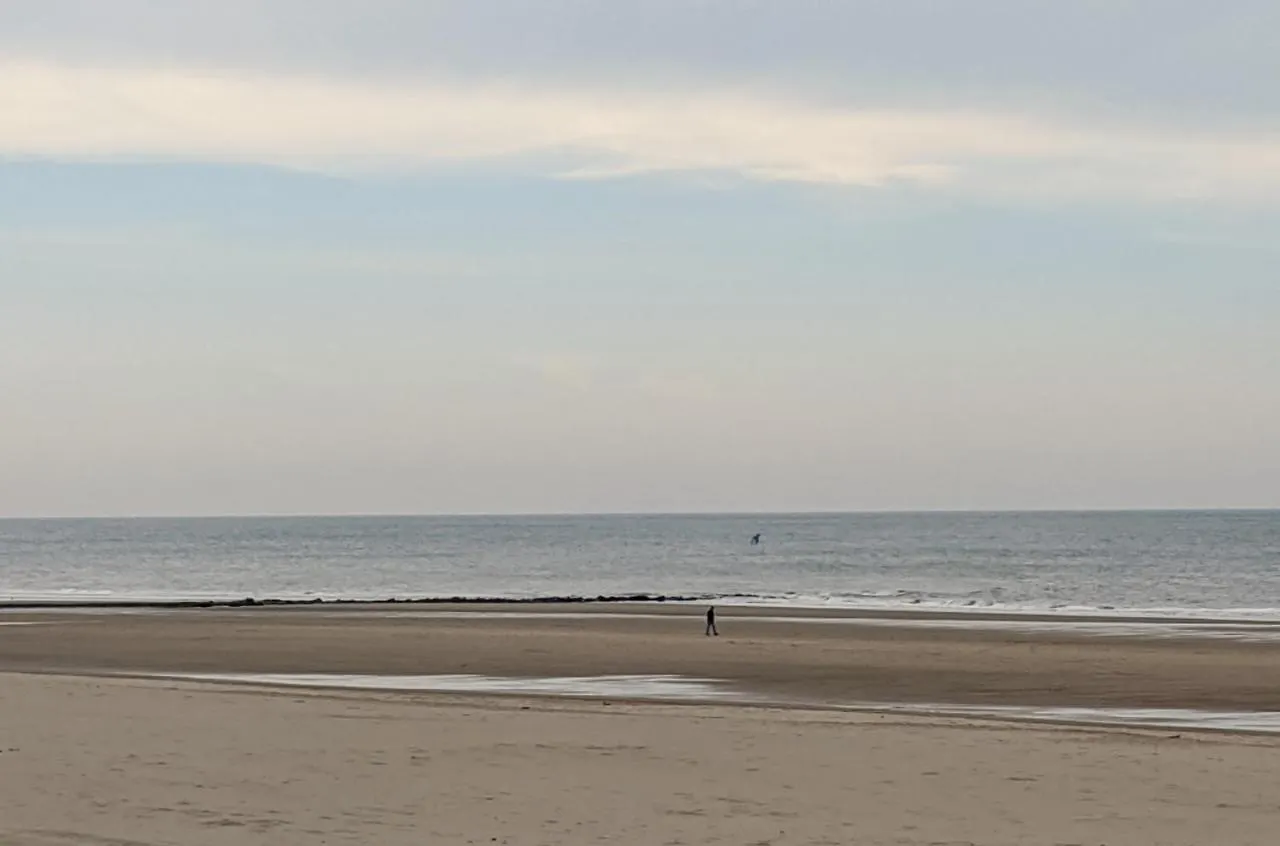 Ferienwohnung Zonnig Aan Zee In Mariakerke Ostende 0*,  Belgien